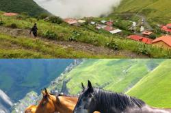 开云体育平台APP-关于格鲁吉亚马术选手遥控马横扫全场，飒爽登场的信息