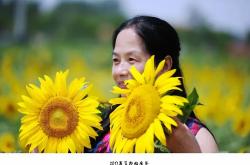 -决胜瞬间：胜利花环洒满灿烂笑容的简单介绍