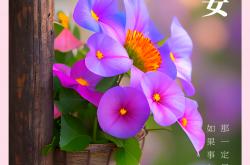 开云下载-勇敢拼搏，赢得掌声和尊重的鲜花