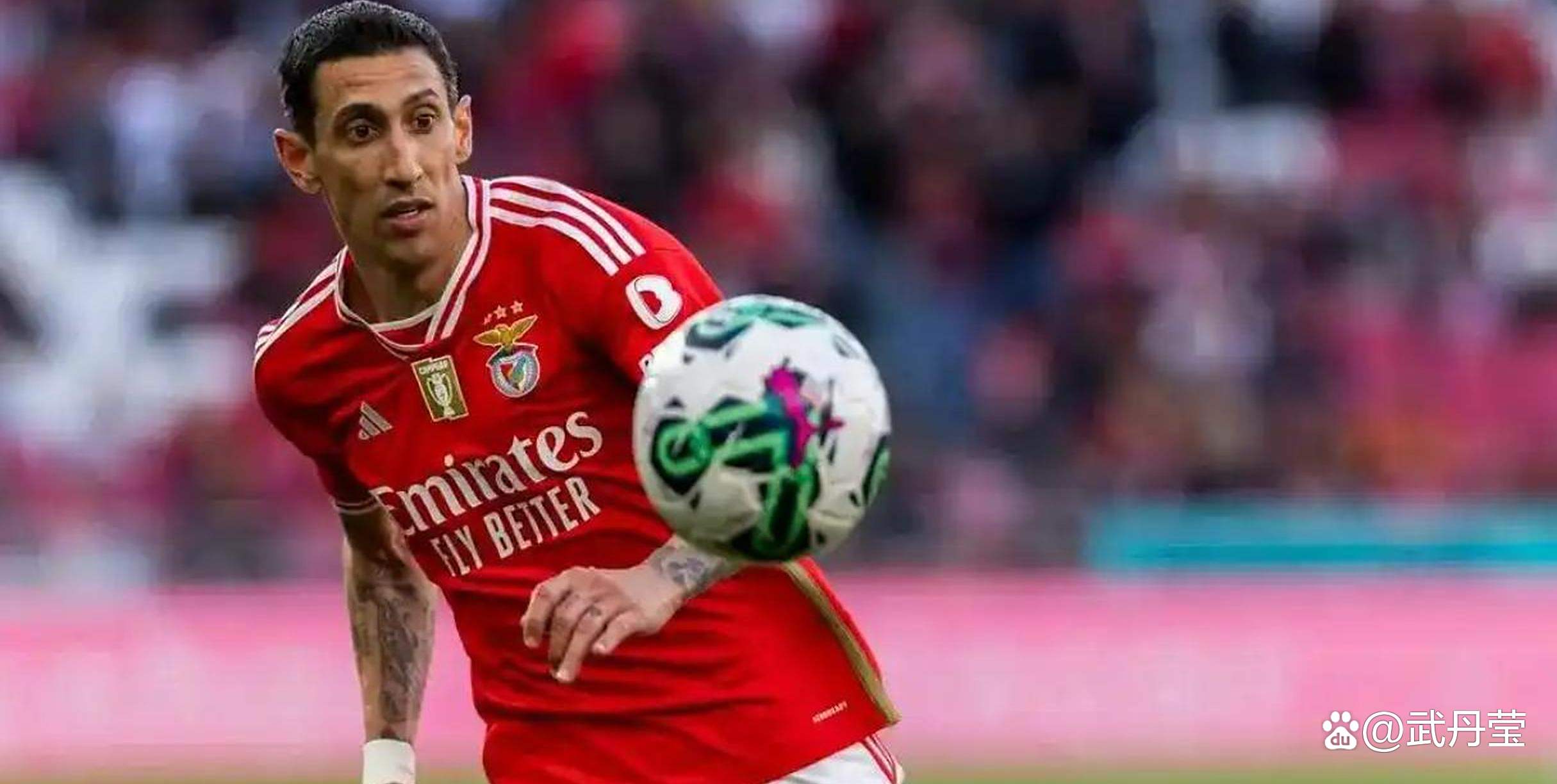 班菲卡主场胜出，继续保持良好状态