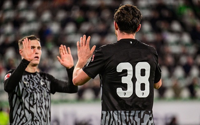 关于弗赖堡新外援力求适应德甲节奏，迎接挑战的信息