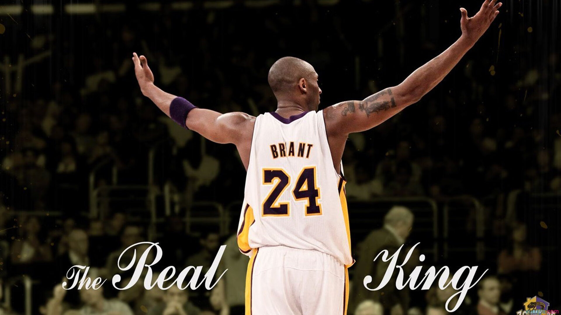 新星破茧！文班亚马休赛期苦练终见效，末节献绝杀，带领黄蜂力克勇士